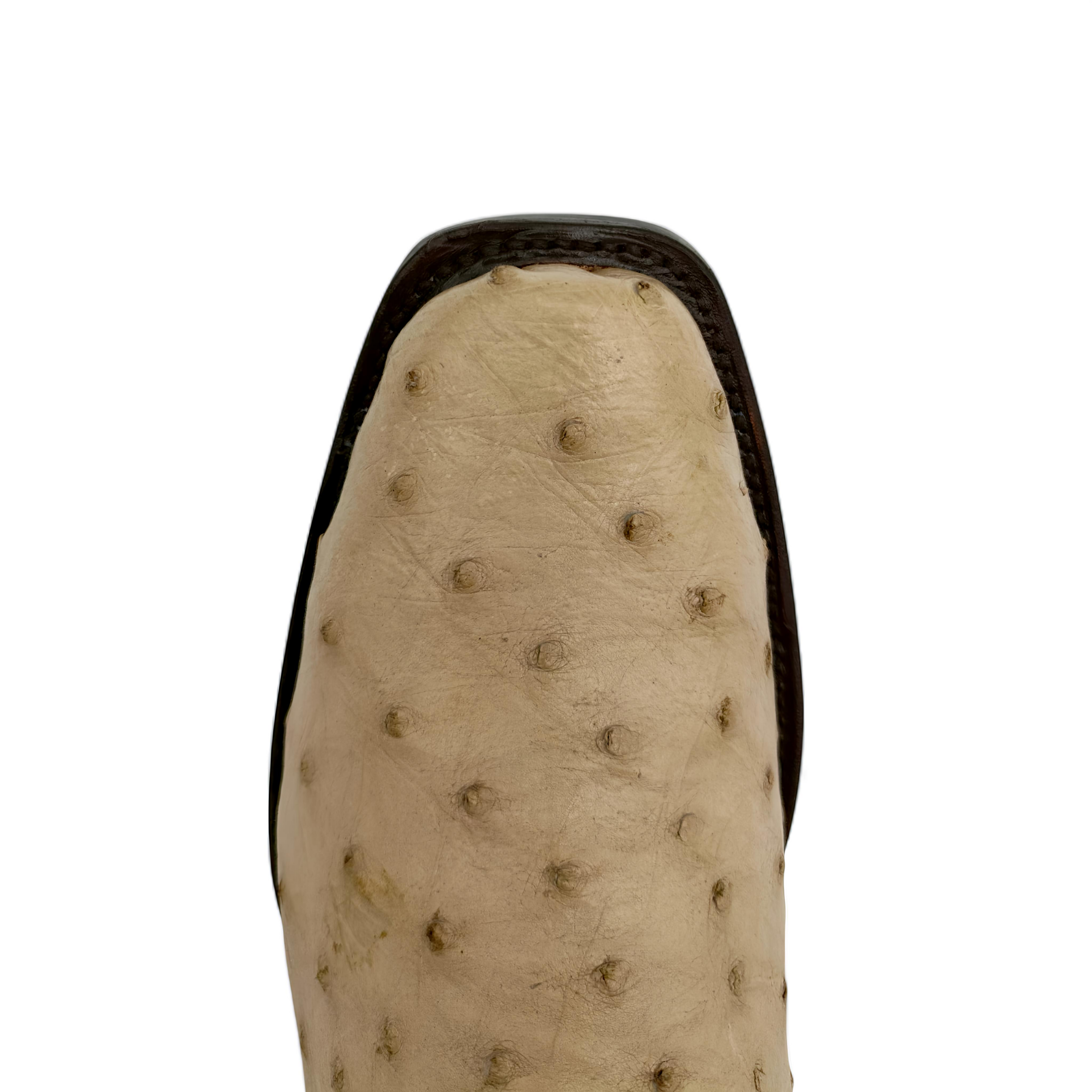 BOTA VAQUERA EN PIEL GENUINA DE AVESTRUZ PARA CABALLERO (M15)