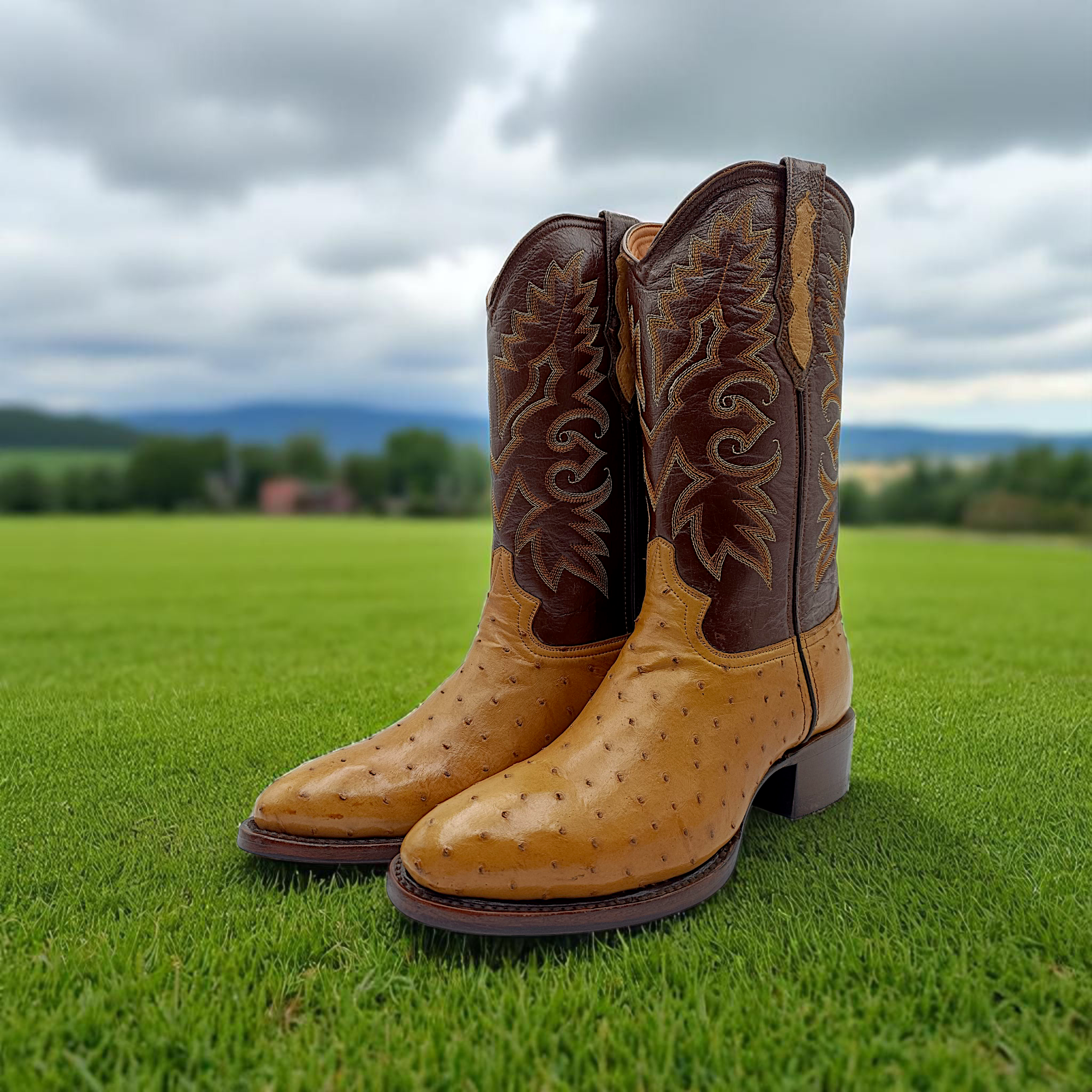 BOTA VAQUERA EN PIEL GENUINA DE AVESTRUZ PARA CABALLERO (M7)