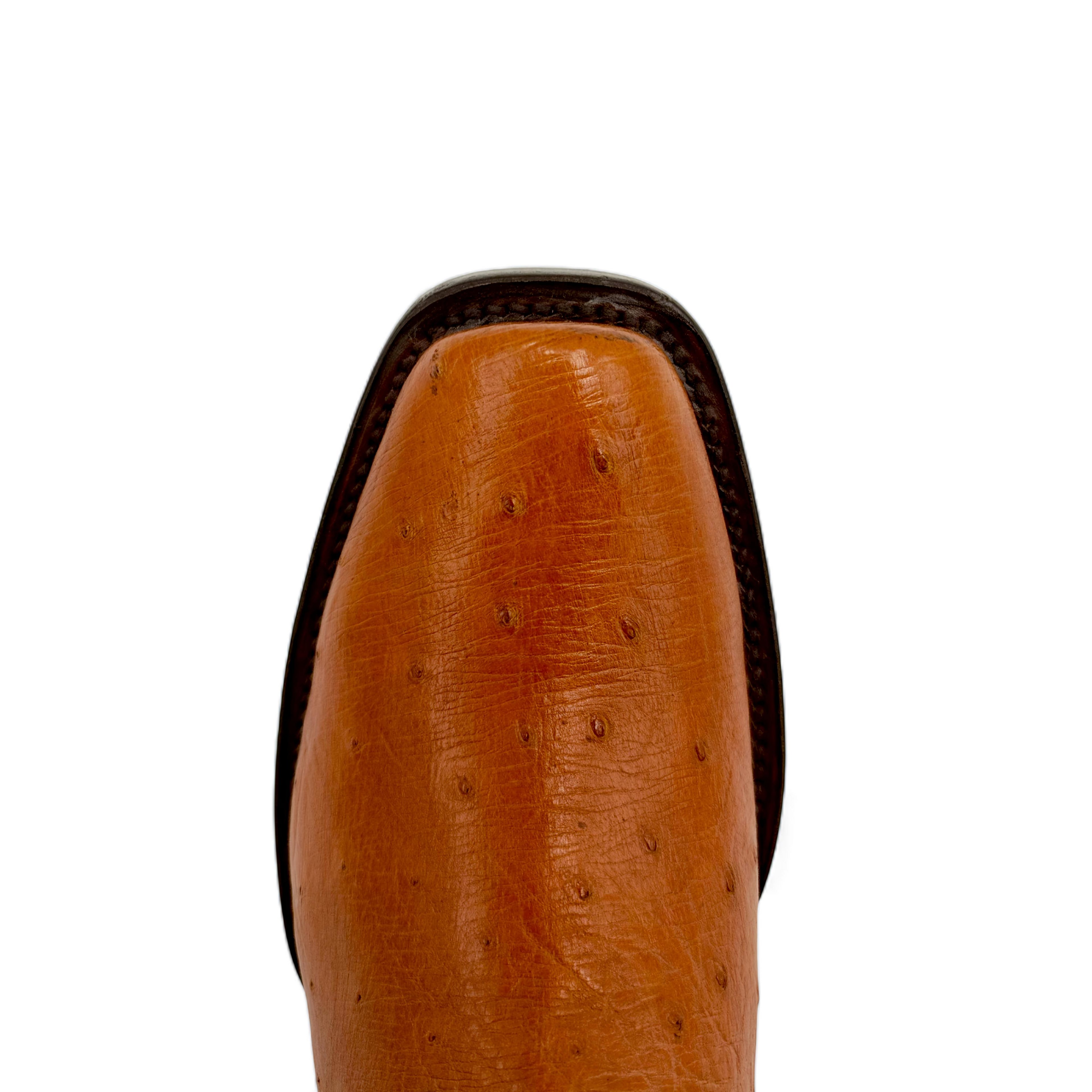 BOTA VAQUERA EN PIEL GENUINA DE AVESTRUZ PARA CABALLERO (M5)