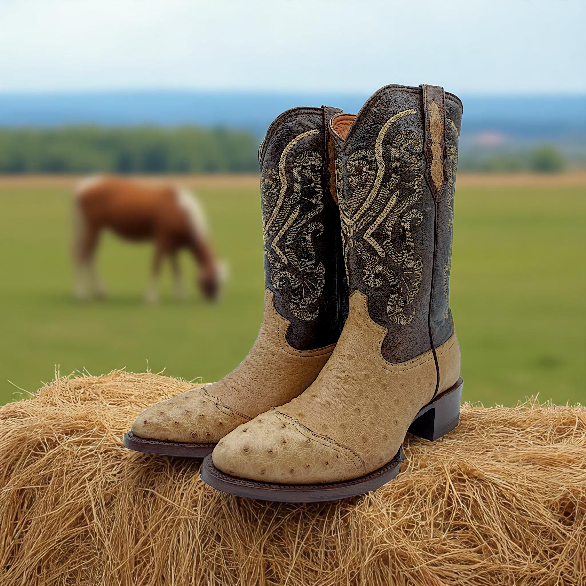 BOTA VAQUERA EN PIEL GENUINA DE AVESTRUZ PARA CABALLERO (M6)