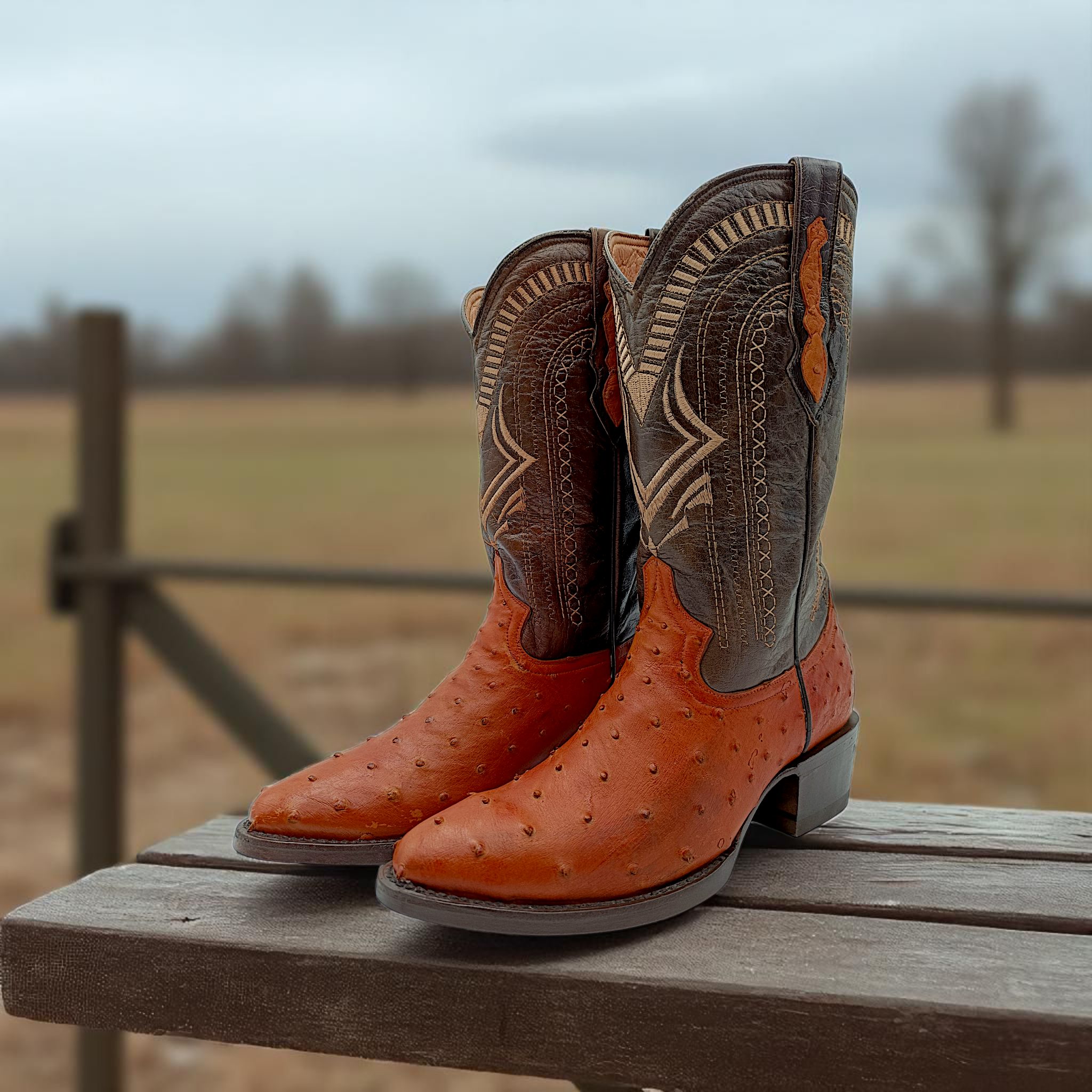BOTA VAQUERA EN PIEL GENUINA DE AVESTRUZ PARA CABALLERO (M13)