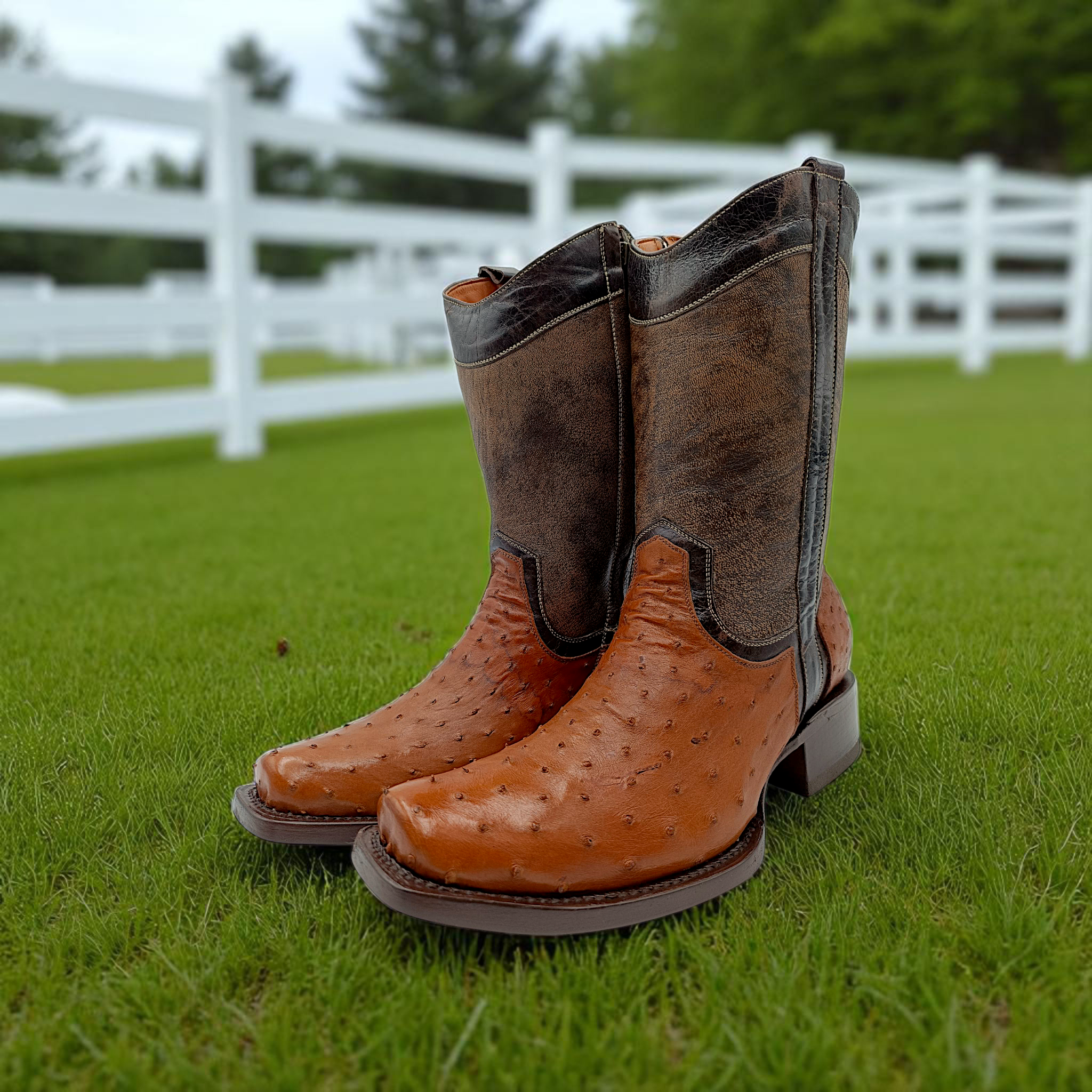 BOTA VAQUERA EN PIEL GENUINA DE AVESTRUZ PARA CABALLERO (M3)