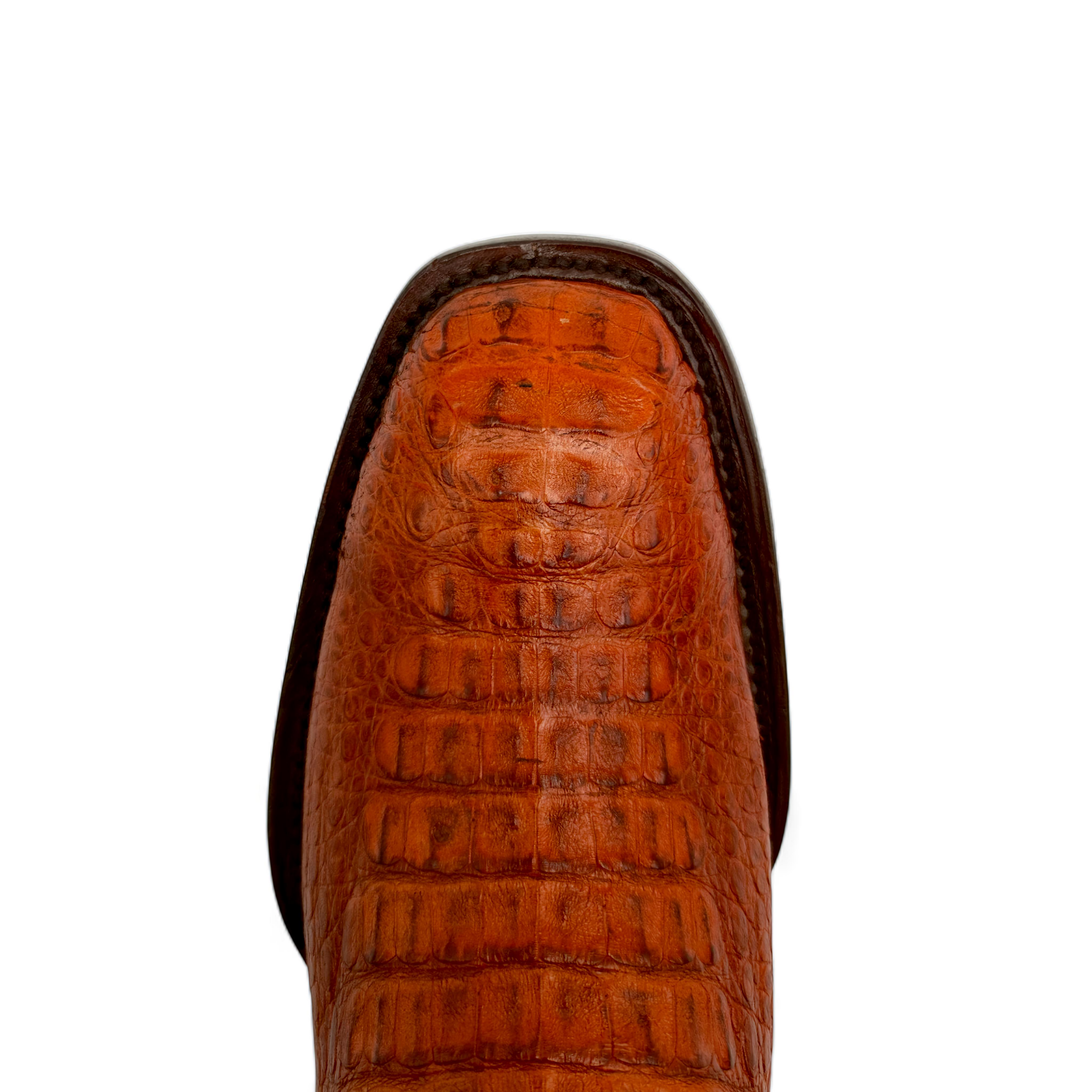 BOTA VAQUERA EN PIEL GENUINA DE CAIMAN PARA CABALLERO (M16)